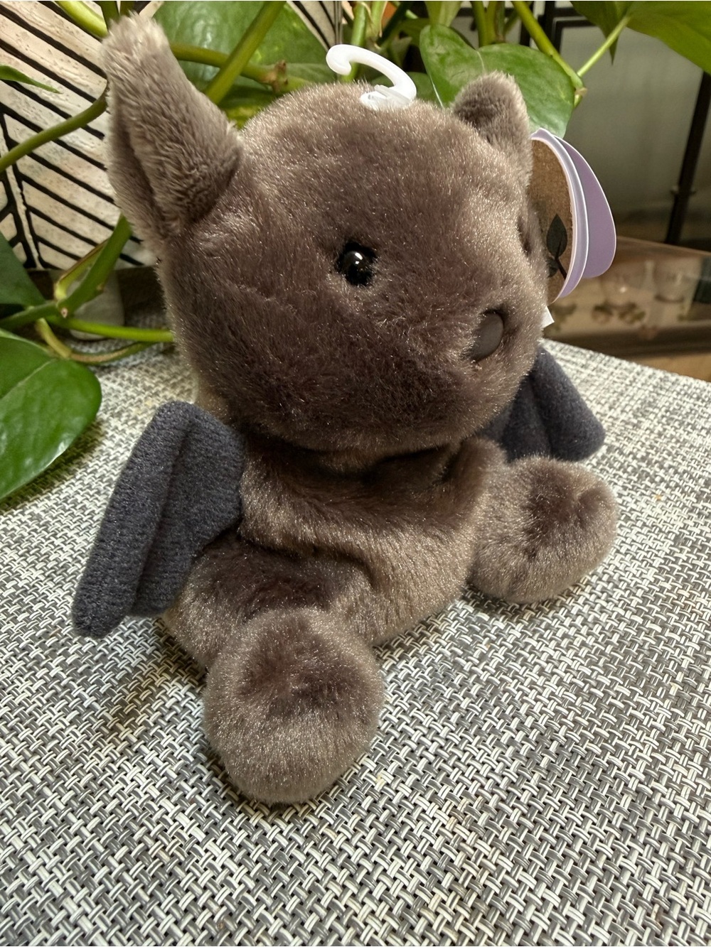 Luna Palm Pals Plush Bat Small Toy🦇Grey Brown Stuffy Fidget or Collectable - Picture 2 of 5